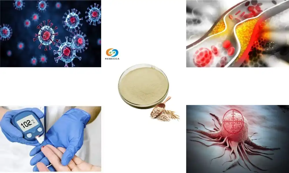 Boost Your Immune System with Oat Beta Glucan Powder